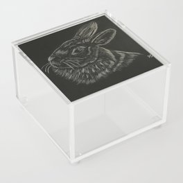 Bunny1 Acrylic Box