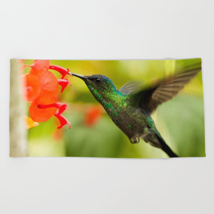 Brazil Photography - A Beautiful Green Humming Bird In Brazil Beach Towel