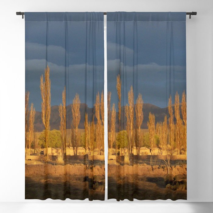 Argentina Photography - Trees In The Warm Sunset Blackout Curtain