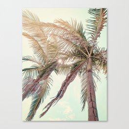Sunny San Diego Day with Palm Trees Canvas Print