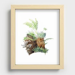 Mossy Stump Recessed Framed Print