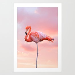 Pink Flamingo Sunset Art Print
