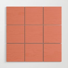 Coral color Wood Wall Art