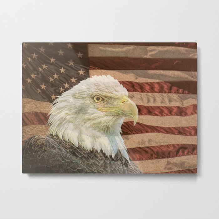 Rustic Bald Eagle on American Flag A213 Metal Print