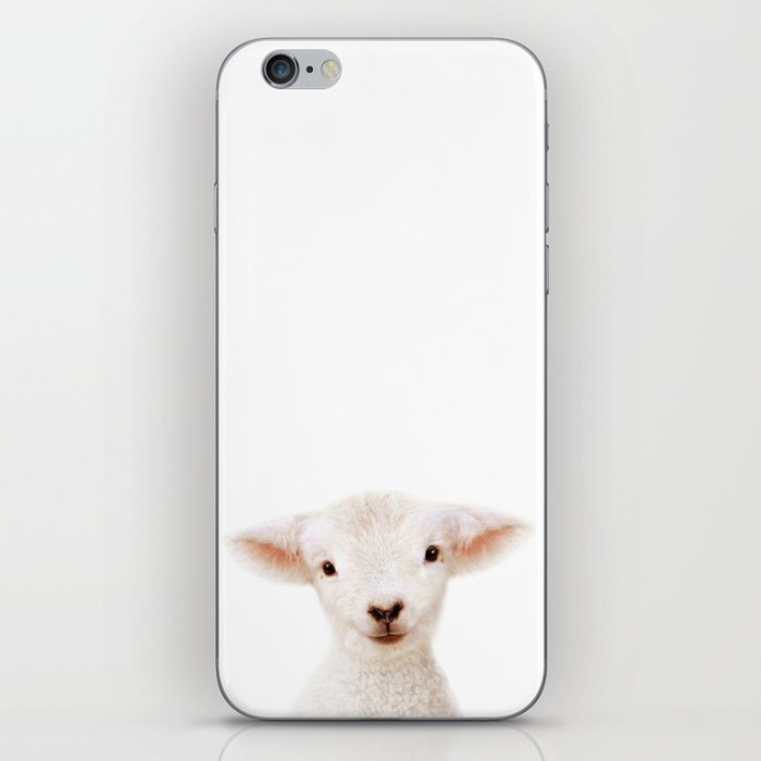 Baby Lamb, Farm Animals, Art for Kids, Baby Animals Art Print By Synplus iPhone Skin