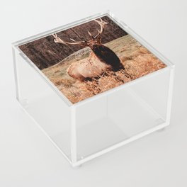 Autumn Elk Acrylic Box