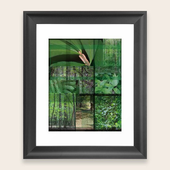 Forest Framed Art Print