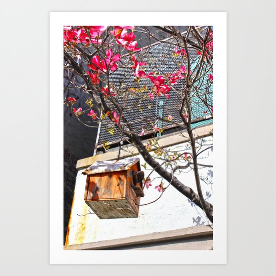 bird house 2 Art Print