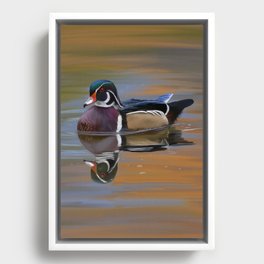 Wood Duck Drake Painting Framed Canvas