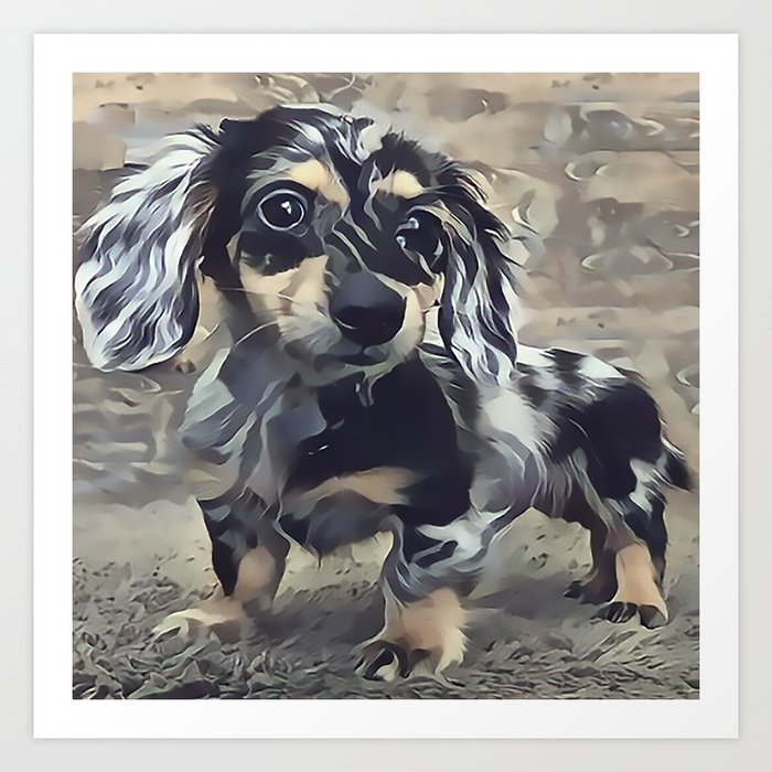 Long Haired Dachshund Art Print By Sunleil Society6