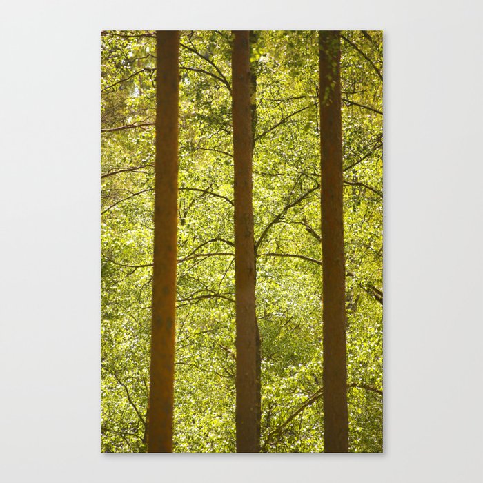 Three Tree #decor #society6 #buyart Canvas Print