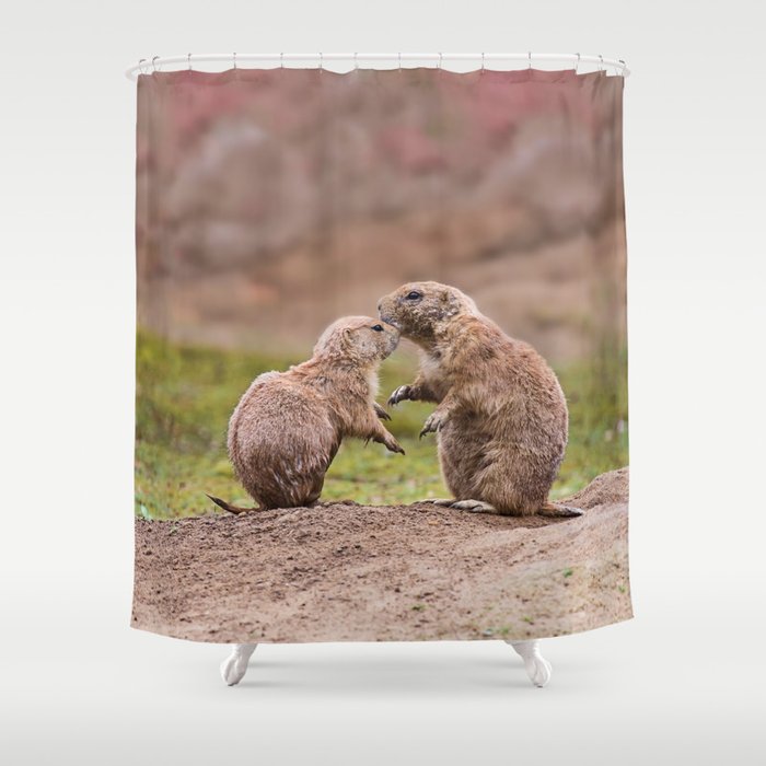 Cute Little Prairie Dogs In Love Shower Curtain