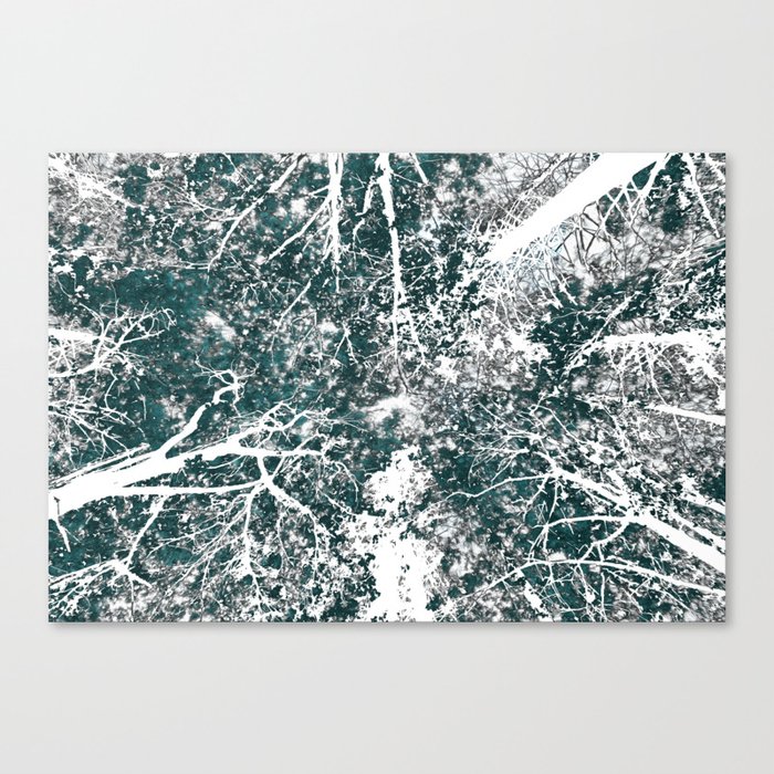 Winter White Trees in Forest Canvas Print