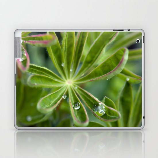 Lupin after rain 5111 Laptop & iPad Skin