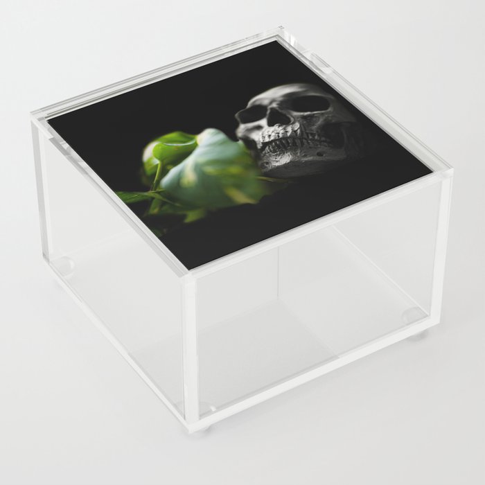 Reincarnated Acrylic Box