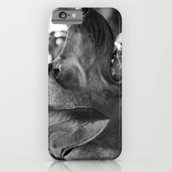 Redbone iPhone & iPod Case