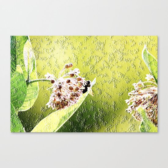 Blooming in the morning (granite) Canvas Print