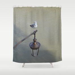 Grey Gull Shower Curtain