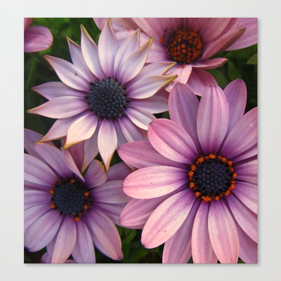 Equally Different Canvas Print