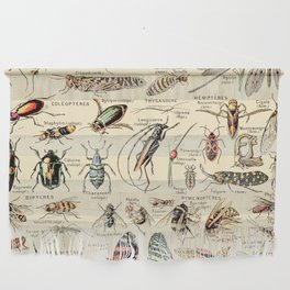 Vintage Insect Identification Chart // Arthropodes by Adolphe Millot XL 19th Century Science Artwork Wall Hanging