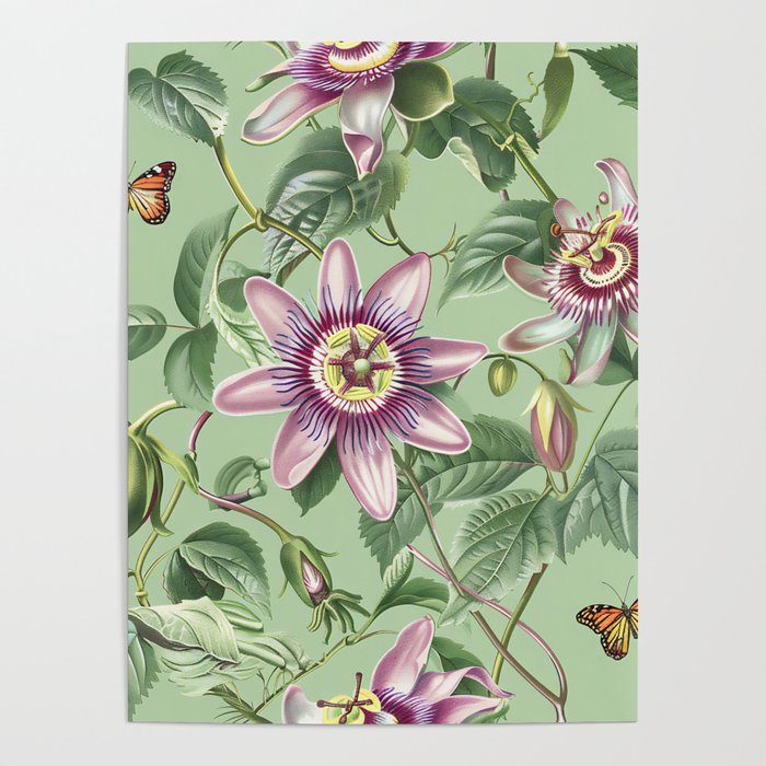 Passion Flowers and Butterflies - Cheery Disposition Poster