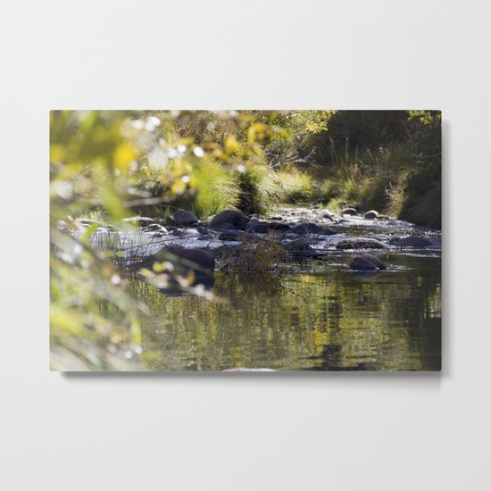 Creekside View Metal Print