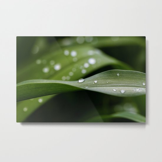 green Metal Print