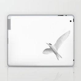 Arctic Tern Laptop & iPad Skin