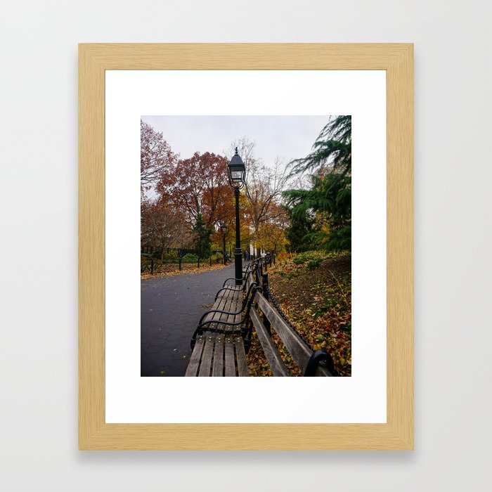 NYC Benches & Trees Framed Art Print