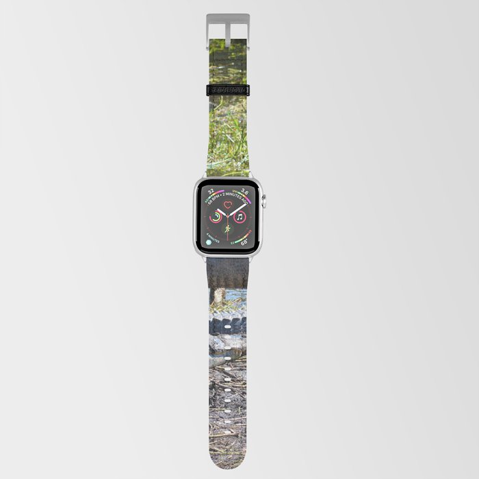 Gator Pit Apple Watch Band