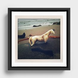 California Coast I -- Beach find caught in a photo! Perfect dreamy seaside memory for your wall :-) Framed Canvas