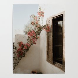 Colorful pastel flower wall | Travel photography print from Morocco | Framed art print Poster