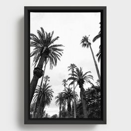 Black and White Palm Trees Framed Canvas