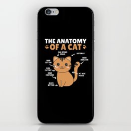 The Anatomy Of A Cat Funny Explanation Of A Cat iPhone Skin