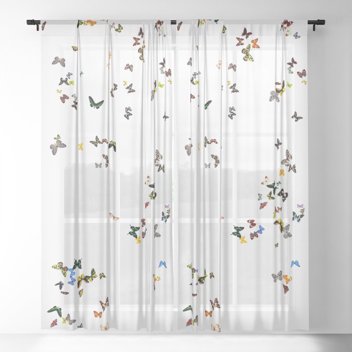 Butterfly Sheer Curtain