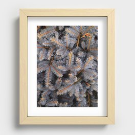 Yellow & Gray Pine Trees Recessed Framed Print