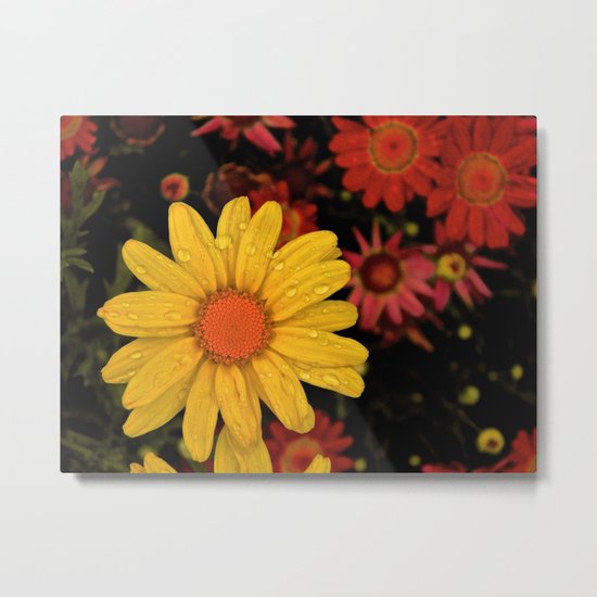 Rise Above Metal Print