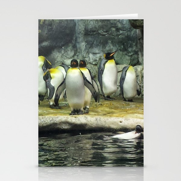 Group of Penguins Stationery Cards