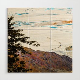 desert view from the mountain at Palm Springs California USA Wood Wall Art