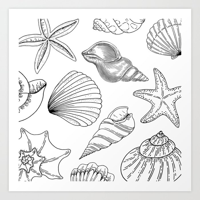 Shell Pattern Black and White Art Print