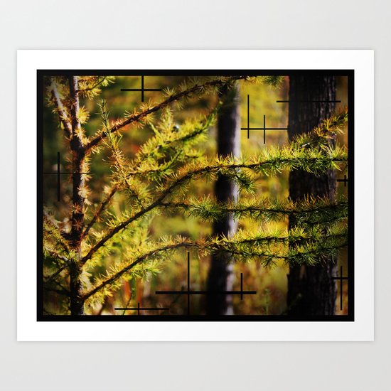 The Tamarack Tree Art Print