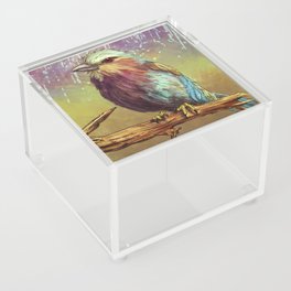 AfRock Keen Roller Acrylic Box