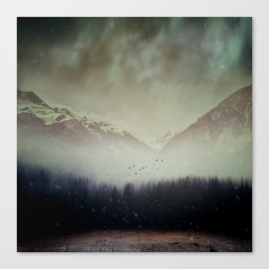 Winter Shade Canvas Print