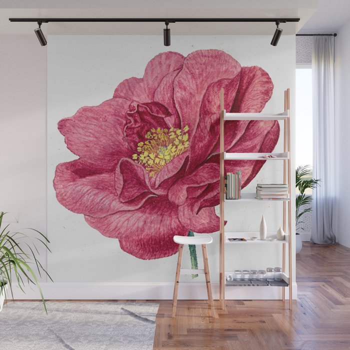 French rose  Wall Mural