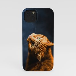 Ginger kitty cat iPhone Case