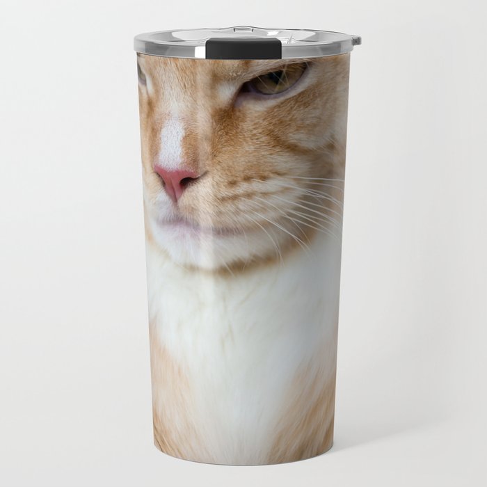 Red White Tabby Maine Coon Cat Travel Mug By Skleznev Society6