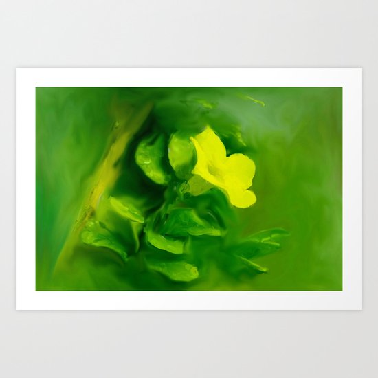 Yellow Mandevilla Flower Art Print
