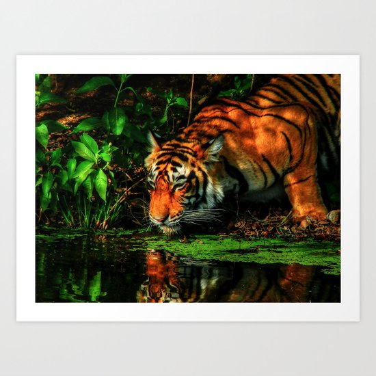 Paying Homage To The Jungle King Art Print