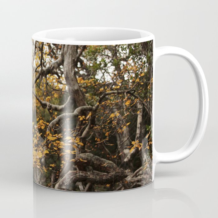 Autumn Leaves Photograph Coffee Mug