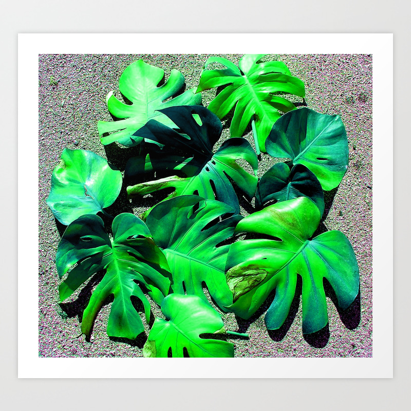 Filadendron Art Print By Bitifoto Society6